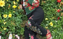 上海网吧门事件